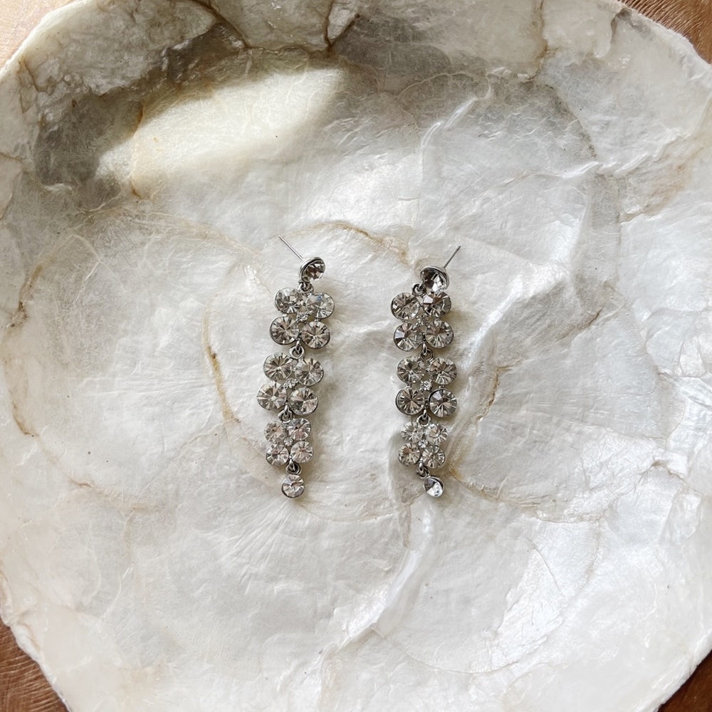 Stunning Silver Jewel Earrings